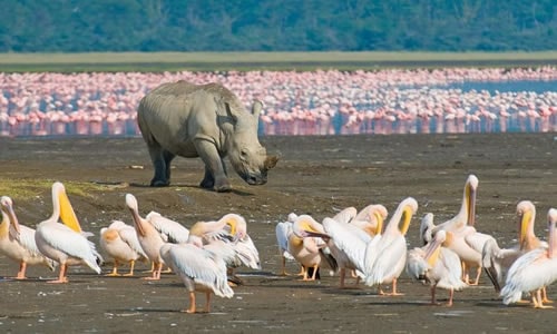 lake manyara national park