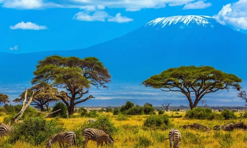 mt kilimanjaro climbing