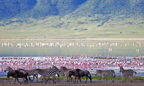 ngorongoro crater national park
