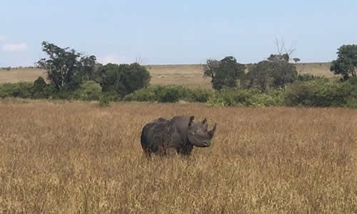 ngorongoro tours