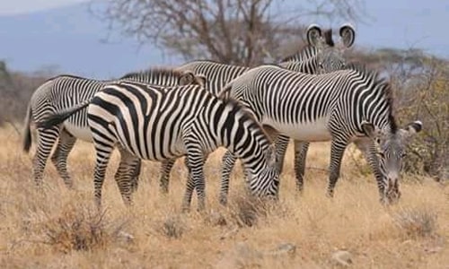 ngorongoro crater national park